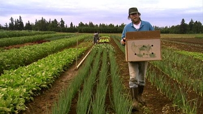 Five fundamentals for sustainable agricultural business