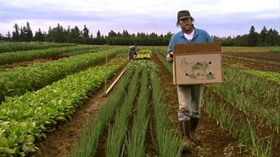Five fundamentals for sustainable agricultural business