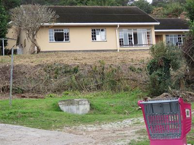 'Horror houses’ still a blight on the town