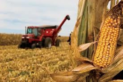 Drought stricken commercial farmers in need of assistance