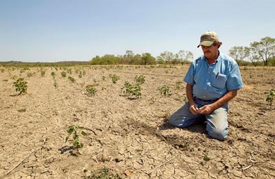 Southern Africa experiences a surge in food insecurity