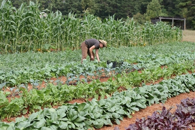 Move to help small farmers