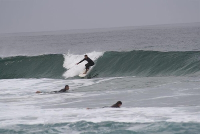 Blend between surfing and wine