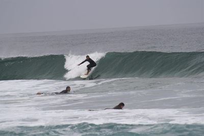 Blend between surfing and wine
