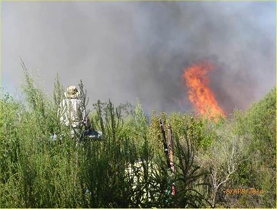 Ecological block burn for Harkerville