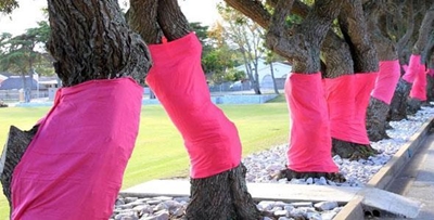 Pink Trees and Wessa take hands