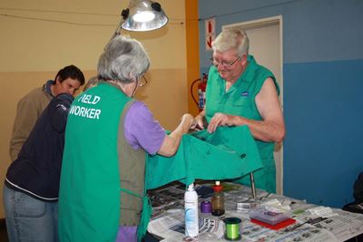 83 Diere gesteriliseer op Riversdal