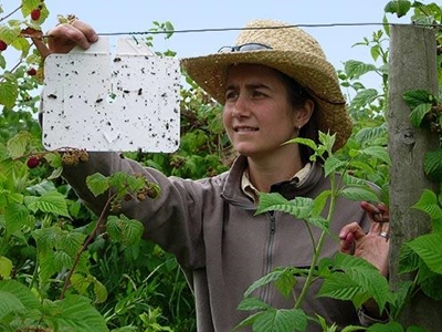 Integrated Pest Management key in reducing use of chemicals