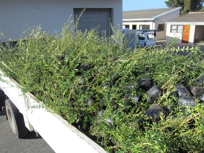 Arbor Month kicked off with generous donation