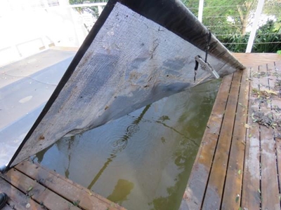 Sewerage flows from house on the Heads