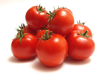 Common tomato pests