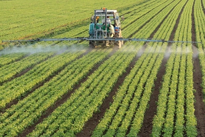 Scaling up climate-smart agriculture solutions for Southern African farmers