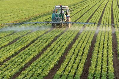 Scaling up climate-smart agriculture solutions for Southern African farmers