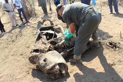Anti-poaching methods a game-changer in Kruger