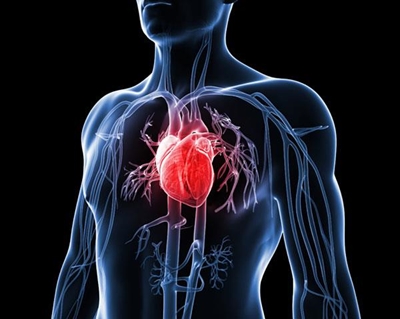 Study reveals where in SA the risk of heart disease is highest