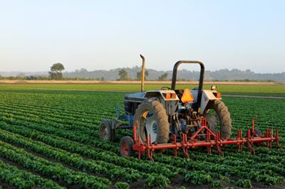 China key partner in Africa's agriculture development - FAO official