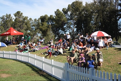 SWD Cricket to host Africa T20 Cup finals