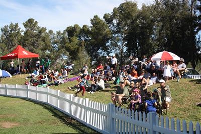 SWD Cricket to host Africa T20 Cup finals