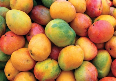 SA to export pigeon peas, pork, mango to India