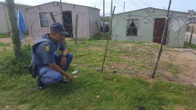 Boy stabbed to death
