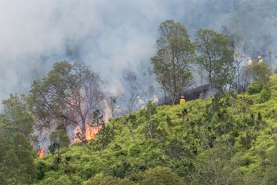 Update: Fire in Outeniqua Mountains