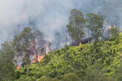 Update: Fire in Outeniqua Mountains
