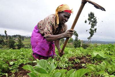Female farmers suffer most in Southern Africa drought