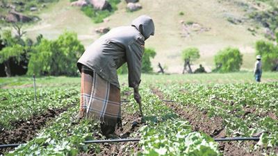 Agri-hub gets rolling