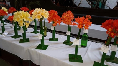 Annual Rose and Flower Show