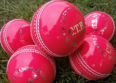 Pink ball pioneers target competitive test cricket