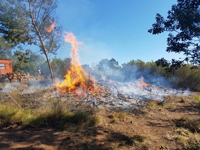 Busy few months for Working on Fire