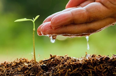 Agri leaders' share insights on global food security