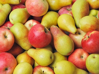 New study suggests a solution to prolong the life of fruit