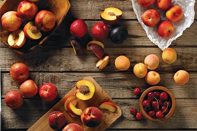 Normal stone fruit season expected despite challenges
