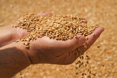Grain Council calls for sensitisation on rules of origin