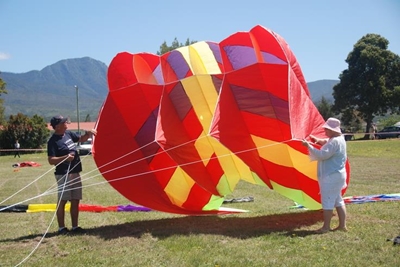 Kite festival for charity
