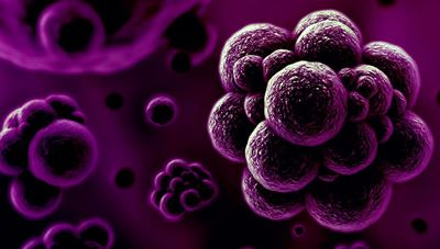 How to stop the spread of superbugs