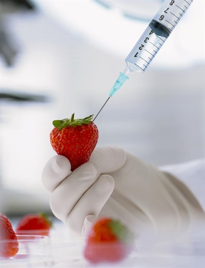 Nigerian government enforces prohibition of GM foods