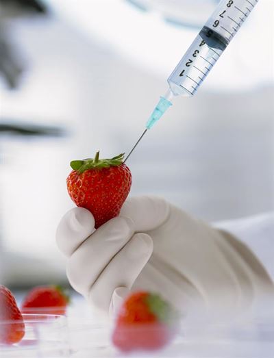 Nigerian government enforces prohibition of GM foods