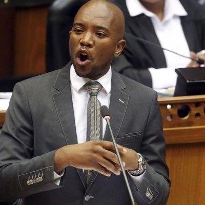 DA plots next move against Zuma