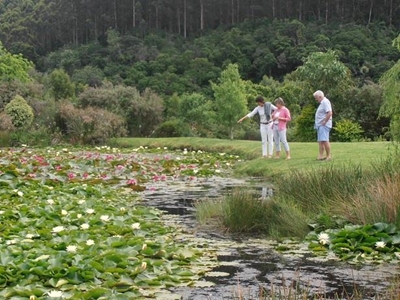 Plett open gardens on show again