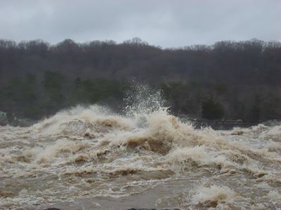 Homeless man saved from flood water