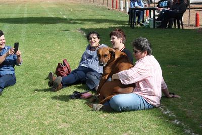 Elke hond kry sy dag