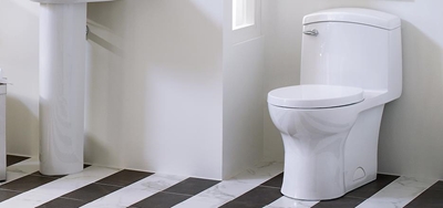 19 November is World Toilet Day