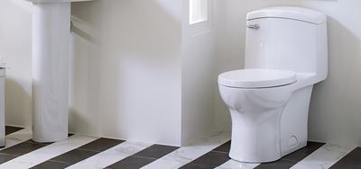 19 November is World Toilet Day