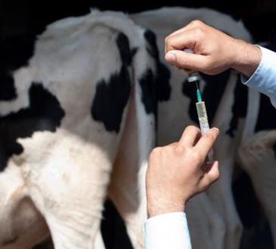 More research needed to mitigate farm-driven antimicrobial resistance