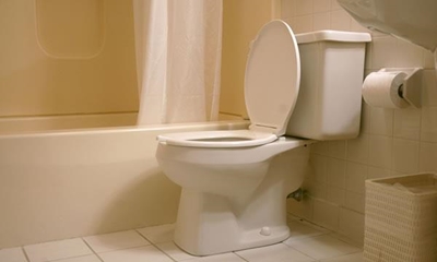 Today is World Toilet Day
