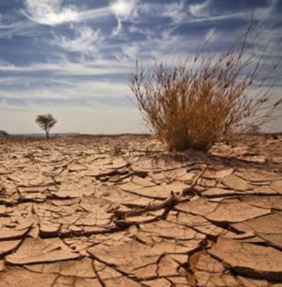 Cautious optimism despite drought, political uncertainty