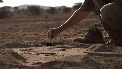 Egypt ancient city unearthed by archaeologists
