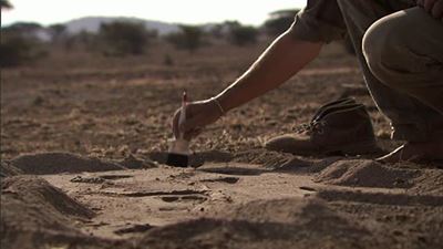 Egypt ancient city unearthed by archaeologists